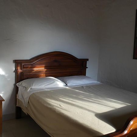 Sergeant Pepper'S Hostel Jardín Esterno foto