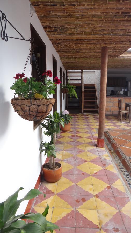 Sergeant Pepper'S Hostel Jardín Esterno foto