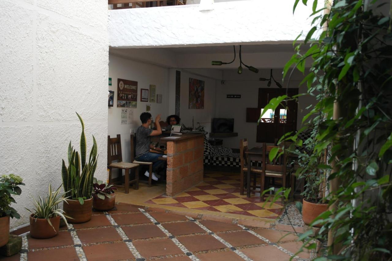 Sergeant Pepper'S Hostel Jardín Esterno foto